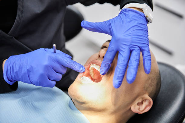 Best Holiday Emergency Dentist in Crystal River, FL